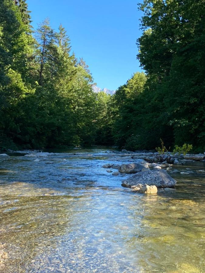 Ferienwohnung Spitzstein - Alpenmagie Suites Oberaudorf Eksteriør bilde